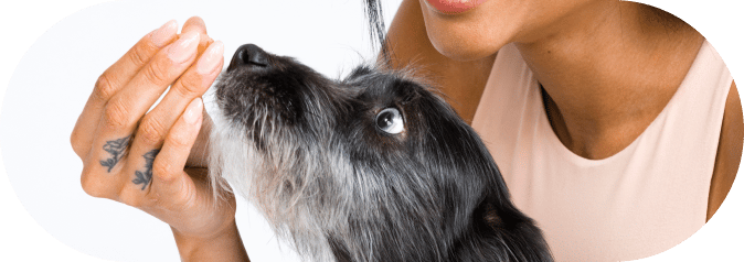 girl with dog