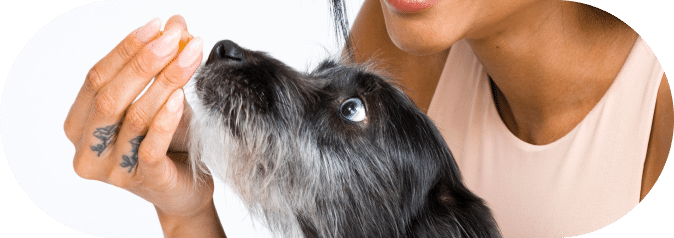 girl with dog