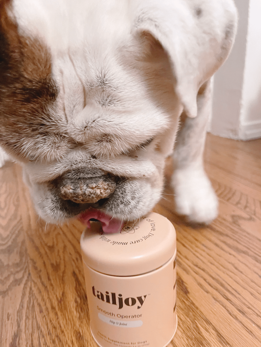 Winston our Bulldog needs Smooth Operator