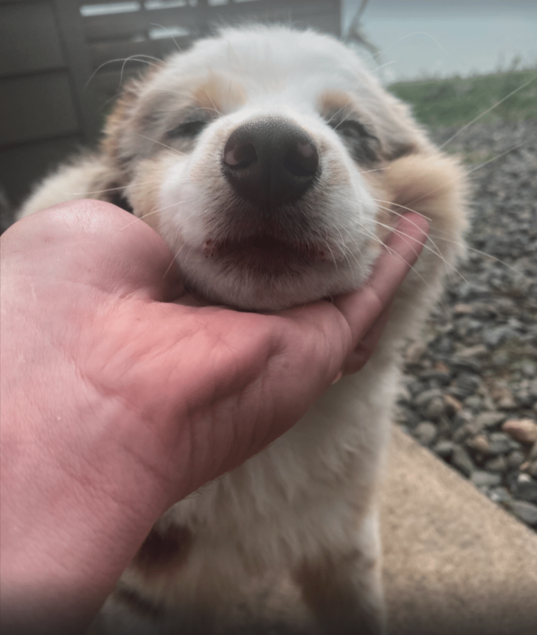 smoothie mouth